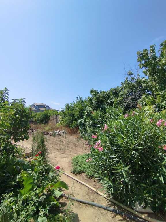 Satılır torpaq 10 sot — Torpaq, Bakı (6)