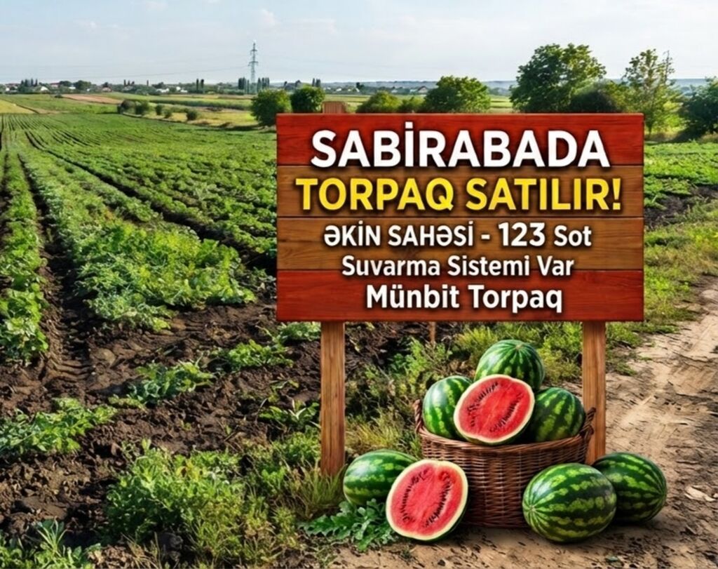 Kənd təsərrüfatı — Torpaq, Hacıqabul