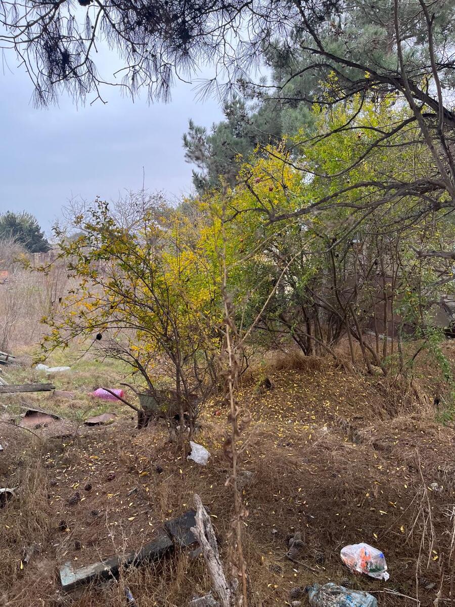 Satılır torpaq 7 sot — Torpaq, Bakı (3)