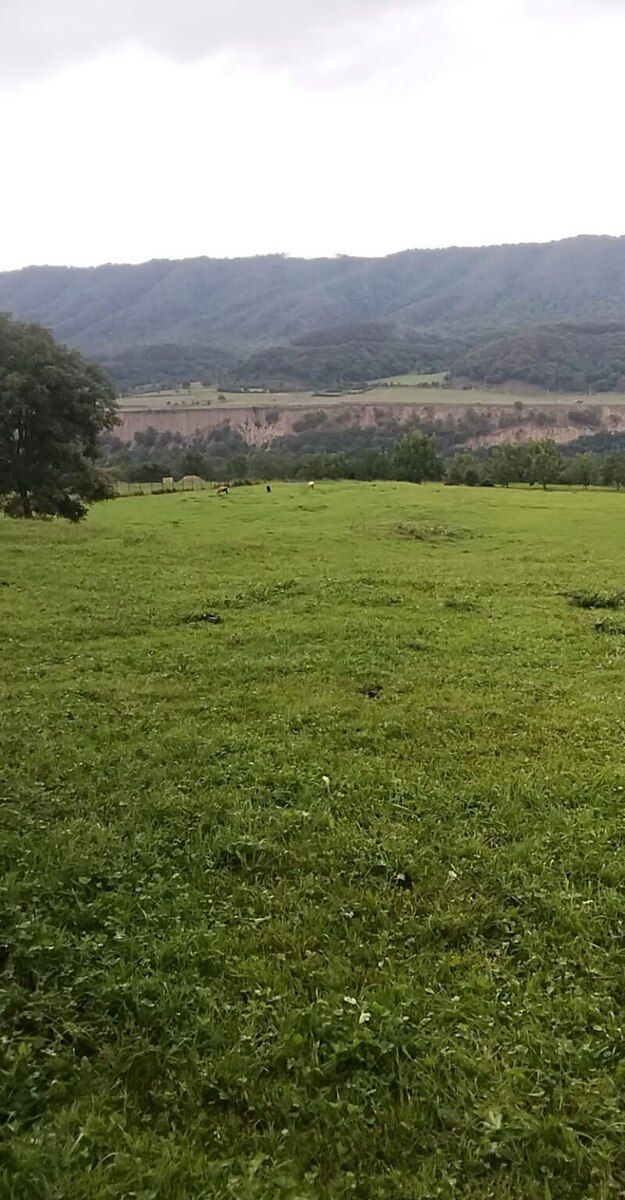 40 sot torpaq sahəsi, Qusar r — Torpaq, Qusar (7)