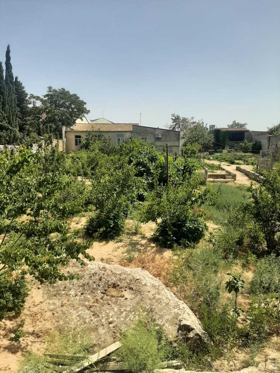 Satılır torpaq 27 sot — Torpaq, Bakı (7)