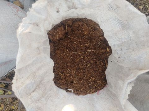 Quru Yanmış peyindir Setka ile elenmiş peyin temiz kiseler yigilmiş — 2 ₼ · Novxanı · Heyvan yeməyi Quru Yanmış peyindir Setka ile elenmiş peyin temiz kiseler yigilmiş — Novxanı