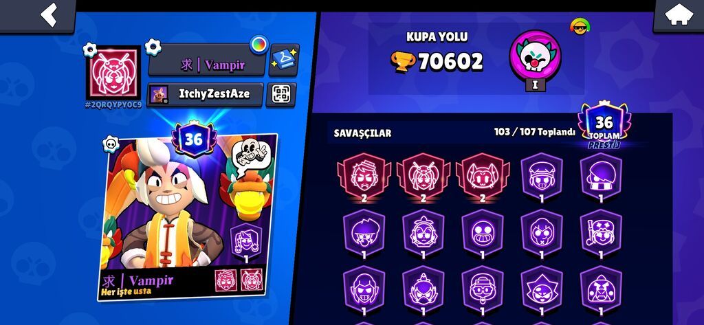 Brawl Stars oyunu üçün yüksək səviyyəli hesab - Kupa yolu: 70,602 — Mühasibəlik, maliyyə, Bakı (2)
