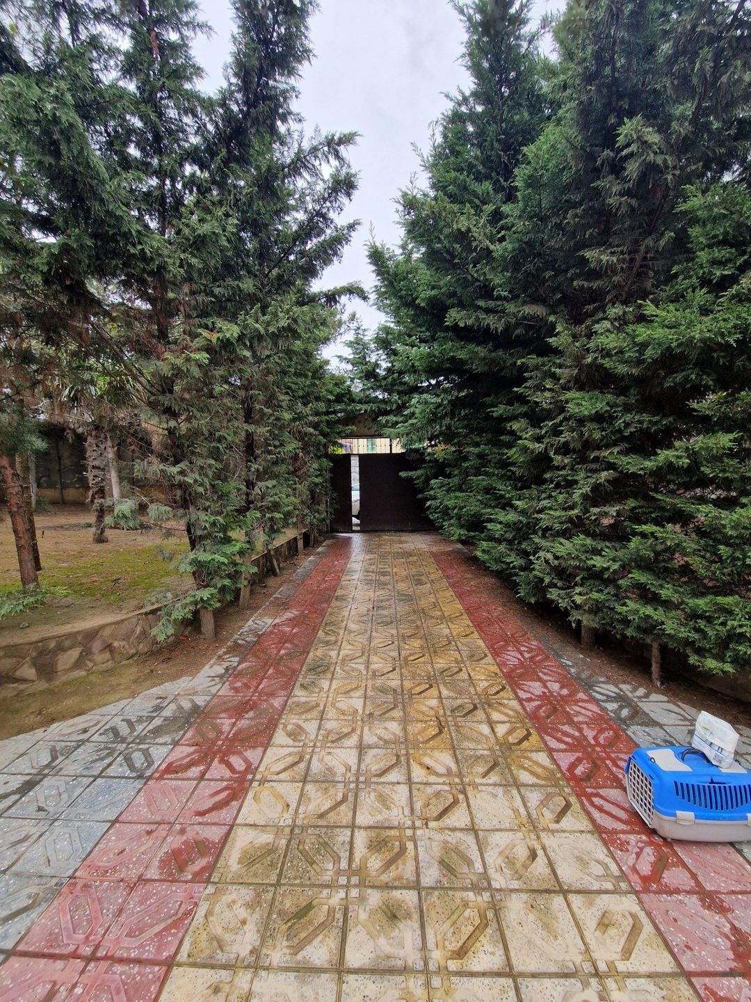 Satılır 4 otaqlı həyət evi/bağ evi 241.6 m² — Ev, villa, Bakı (4)