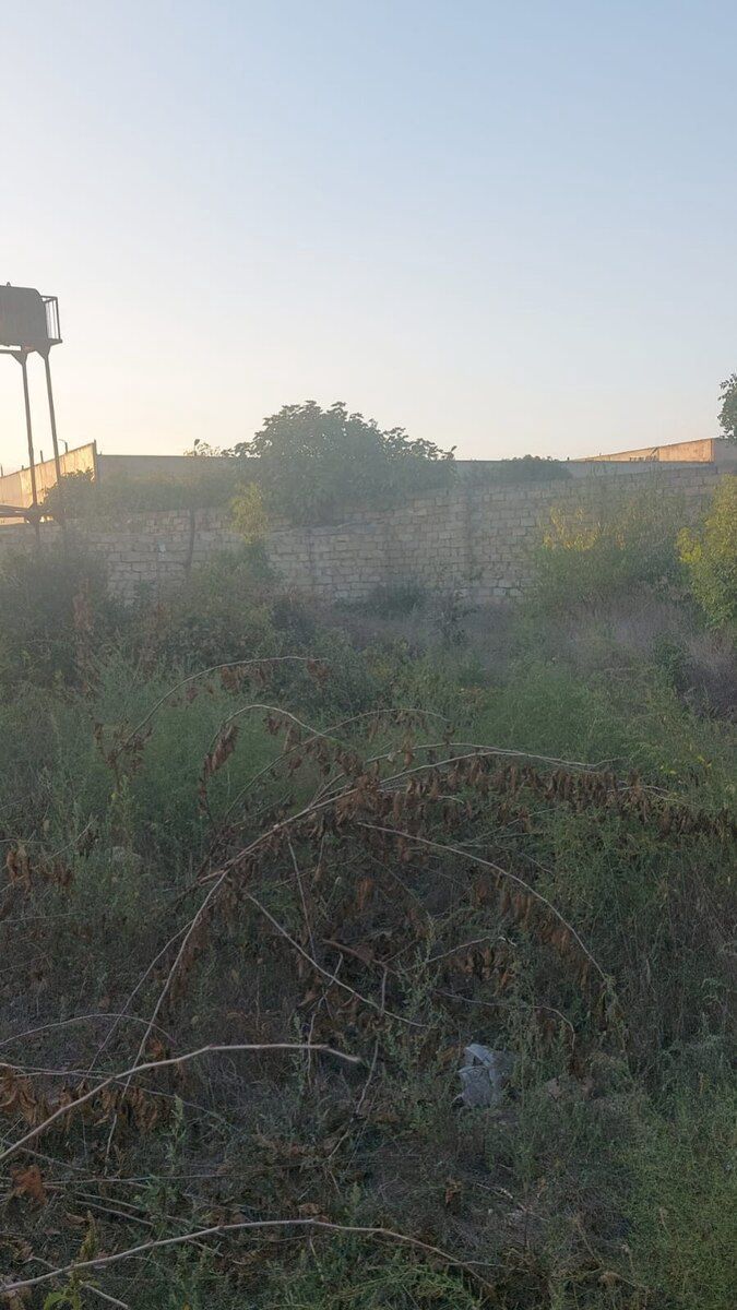2.65 sot torpaq sahəsi, Ramana qəs — Torpaq, Bakı (2)