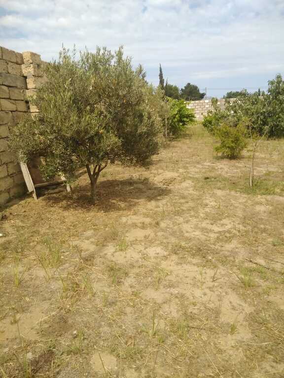 Satılır torpaq 12 sot — Torpaq, Bakı (7)