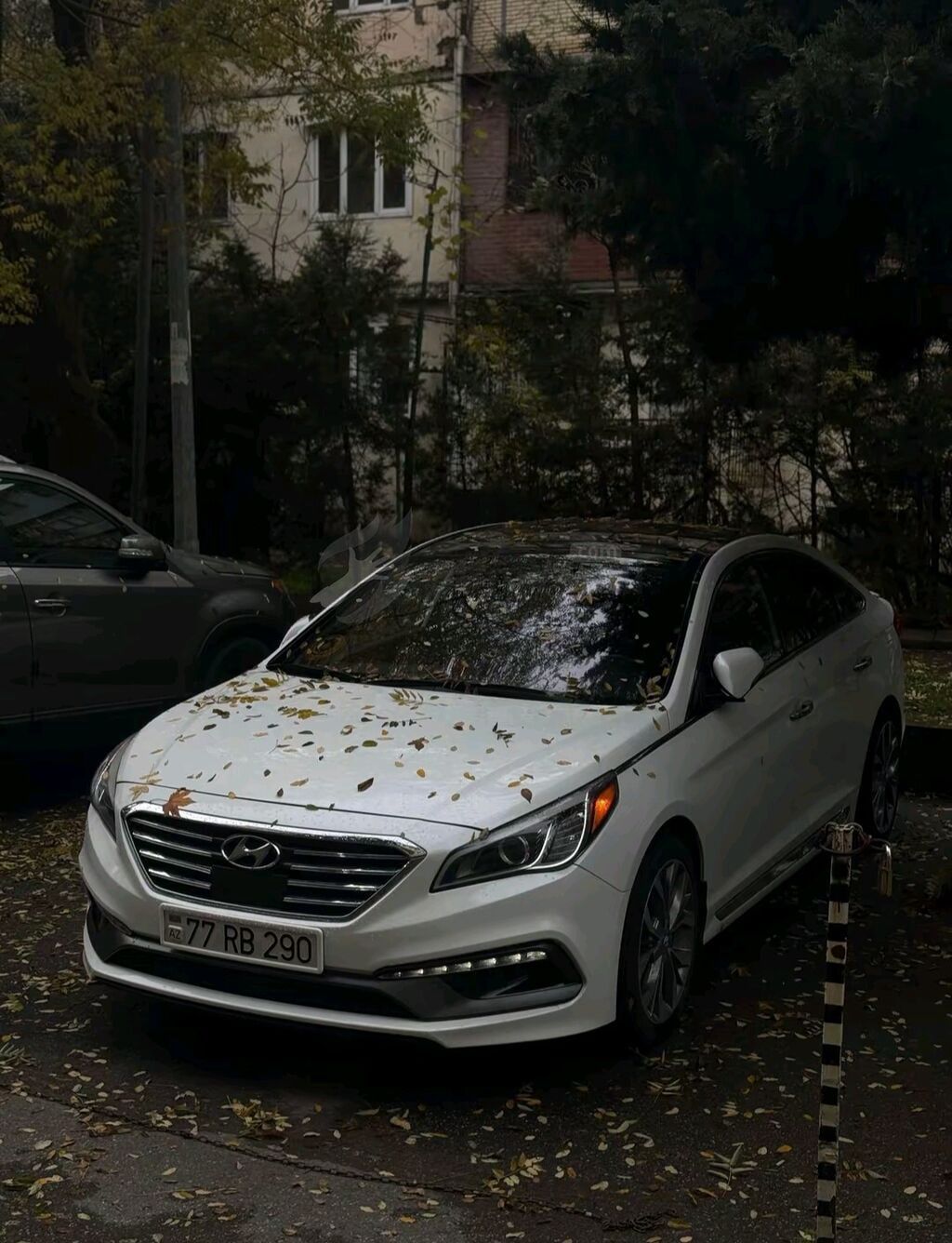Hyundai Sonata: 2 l 2017 il Sedan 77-RB-290 — Avtomobillər, Şuşa (2)