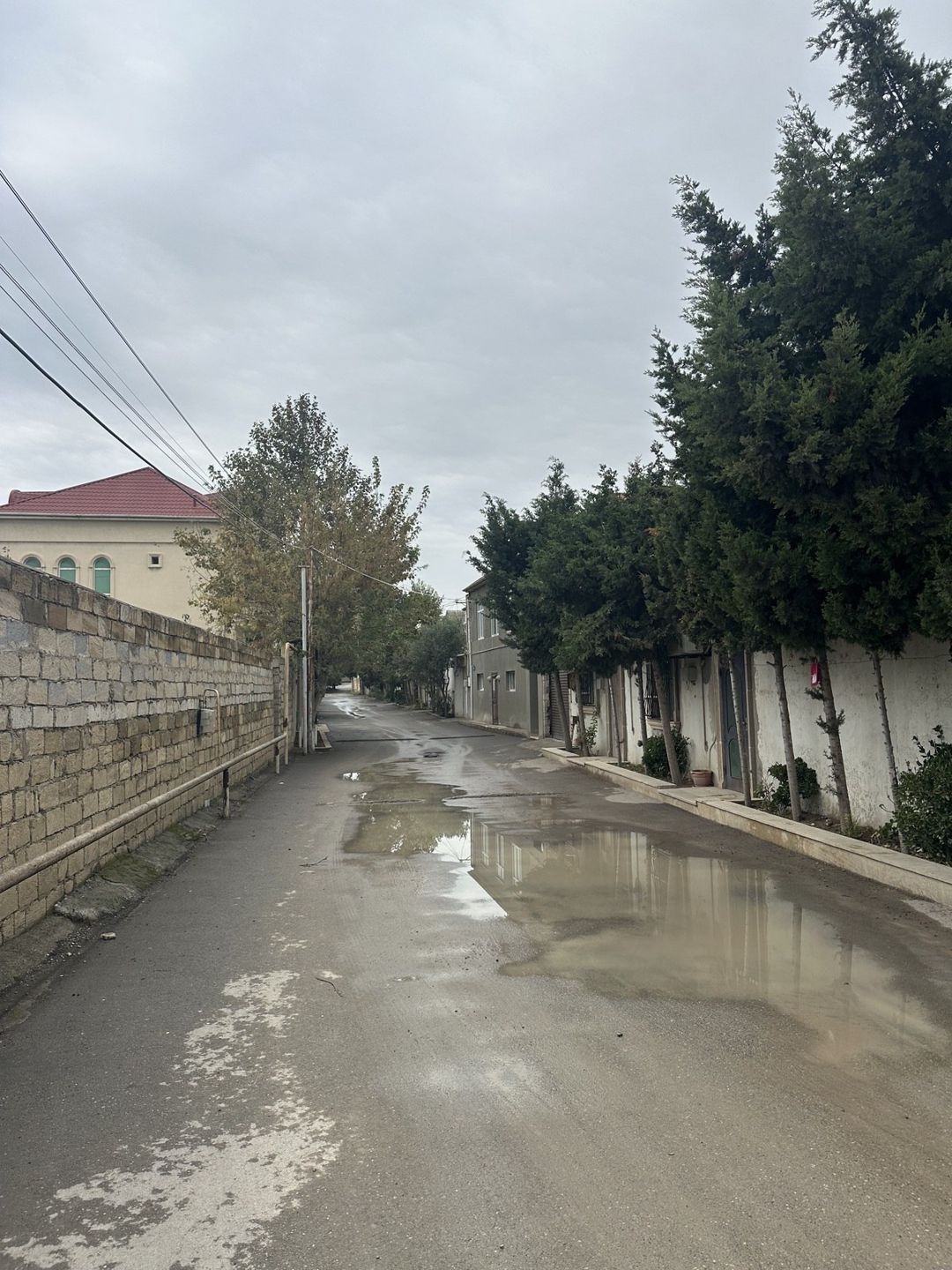 Satılır torpaq 30 sot — Torpaq, Bakı (3)