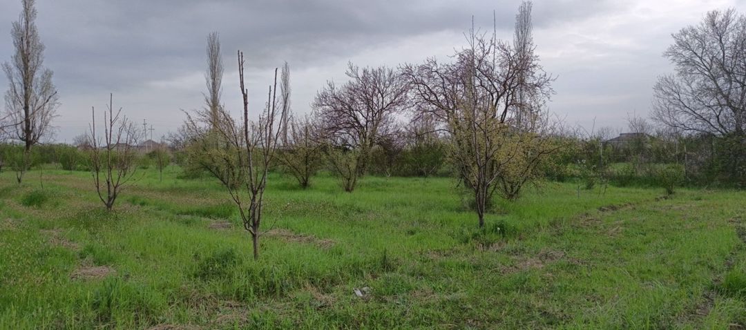 27 sot torpaq sahəsi, Xudat ş — Torpaq, Xudat (7)