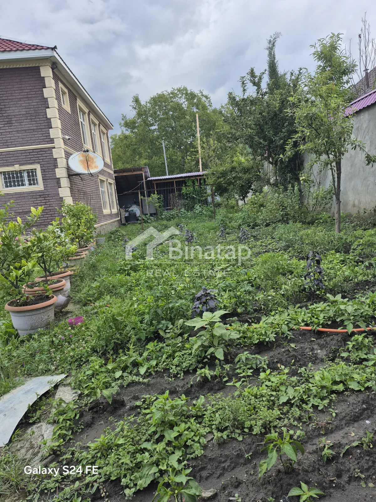 Satılır 5 otaqlı həyət evi / bağ evi 400 m², Qəbələ rayonu — Ev, villa, Bakı (3)