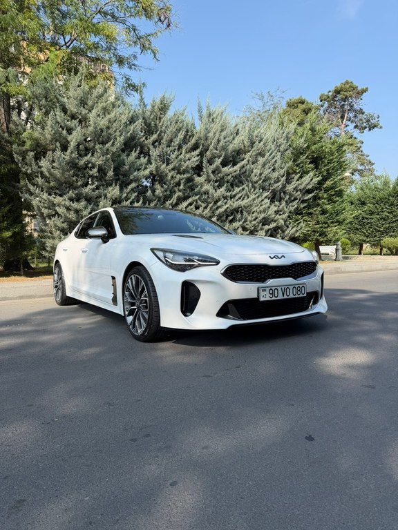 Kia Stinger, 2.0 L, 2019 il, 161 000 km 90-VO-080 — Avtomobillər, Mingəçevir (4)