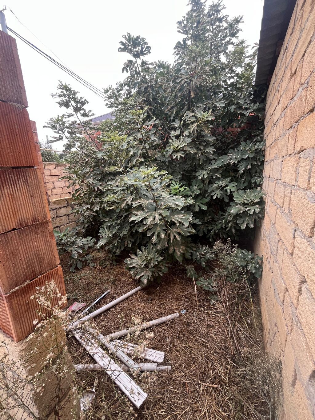 3 sotun içindədir 1 otaqlı tam təmirli qazı suyu işığı vayfayi hamısı — Ev, villa, Sumqayıt (5)