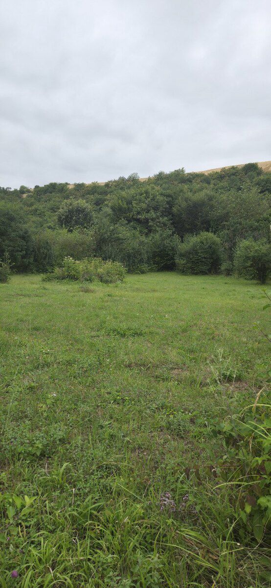 5 sot torpaq sahəsi, Qusar r — Torpaq, Qusar (3)