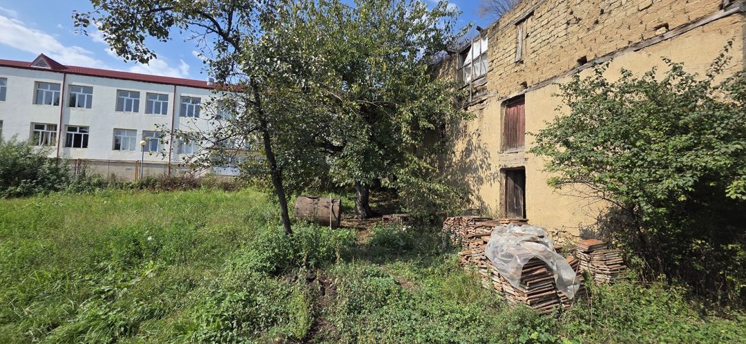 28 sot torpaq sahəsi, Quba r — Torpaq, Quba (9)