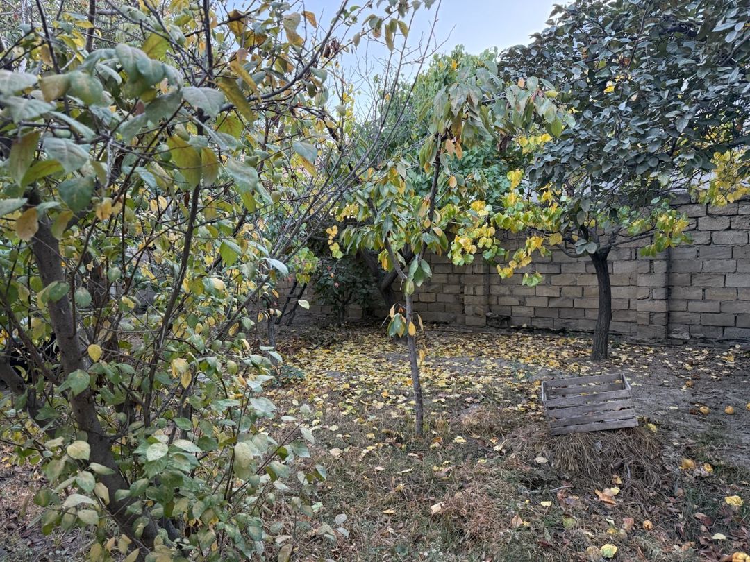 2 sot torpaq sahəsi, Xırdalan ş — Torpaq, Xırdalan (6)