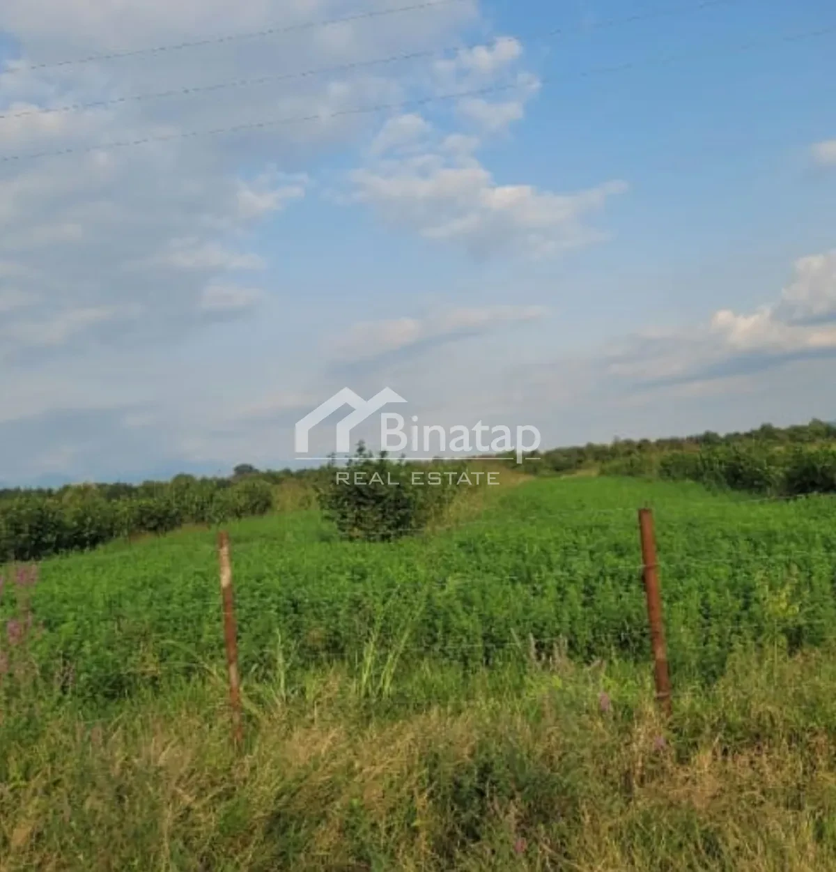 Satılır torpaq 138 sot, Qəbələ rayonu — Torpaq, Bakı (3)