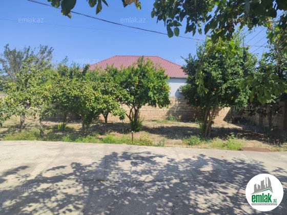 Satılır 4 otaqlı 6 m² həyət evi Saray — Ev, villa (8)