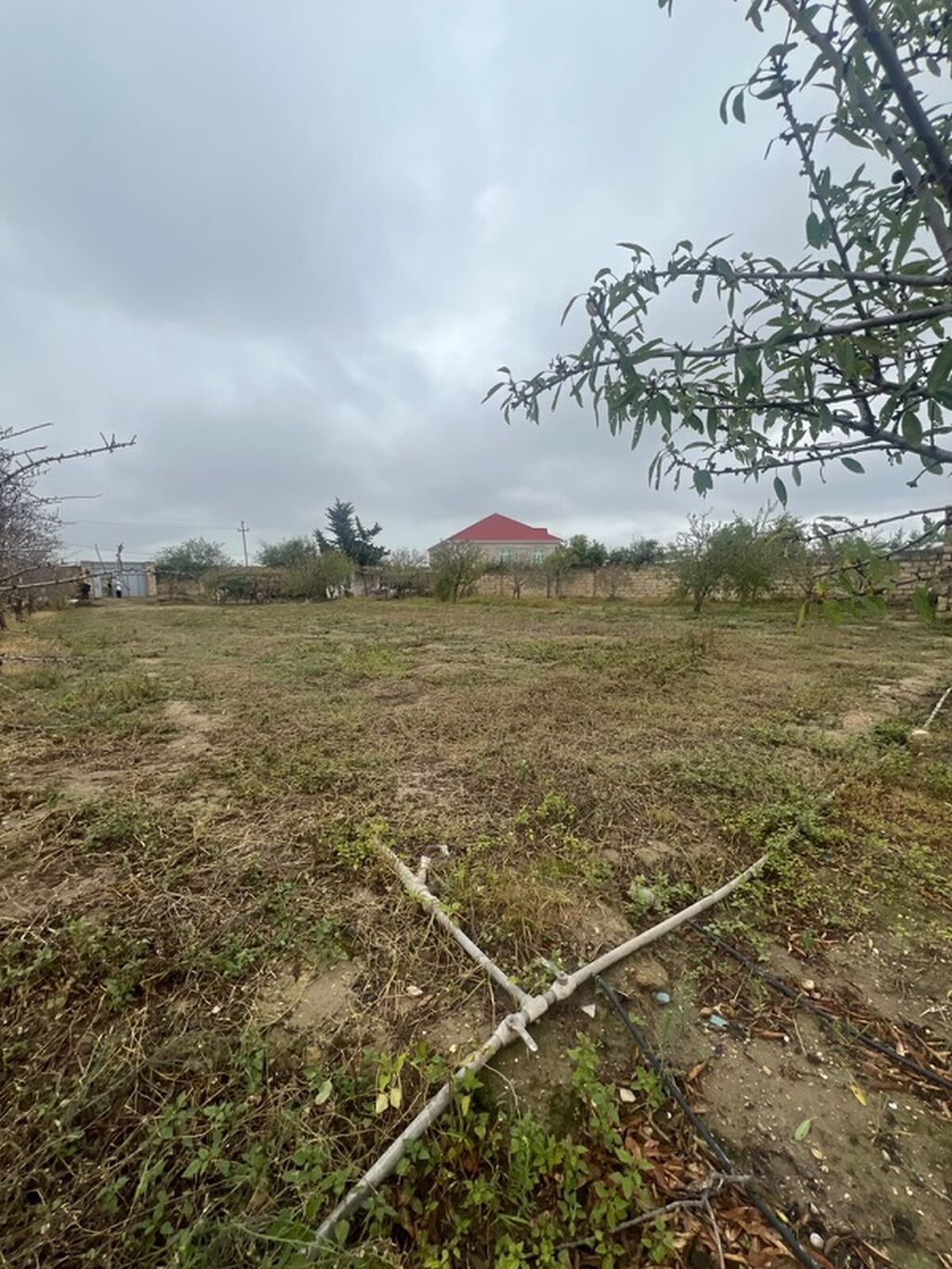 Kənd təsərrüfatı, Mülkiyyətçi — Torpaq, Digah (5)