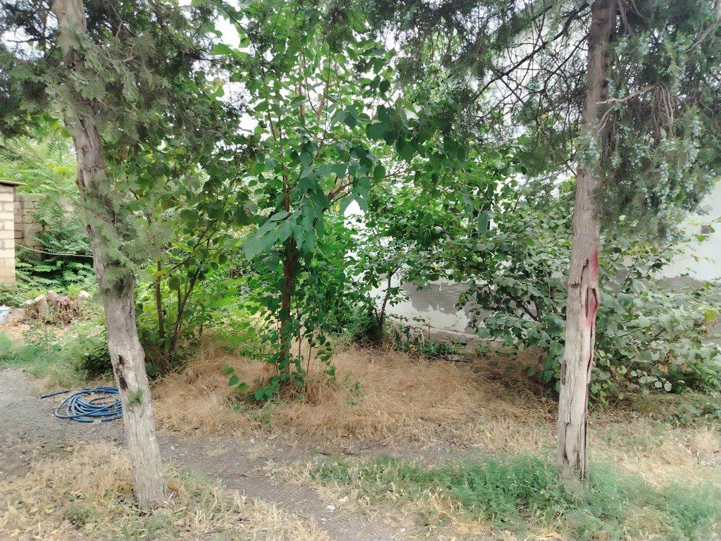 Satılır obyekt 1729 m² — Əmlak, Xaçmaz (2)