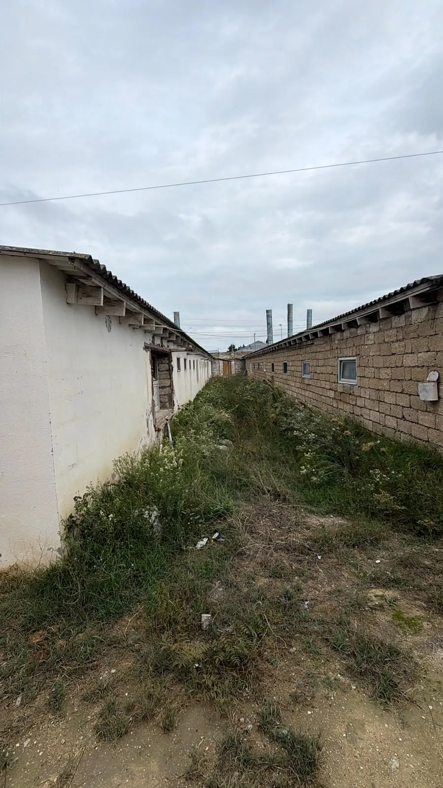 Qala, Torpaq satılır - 40 sot — Torpaq, Bakı (6)