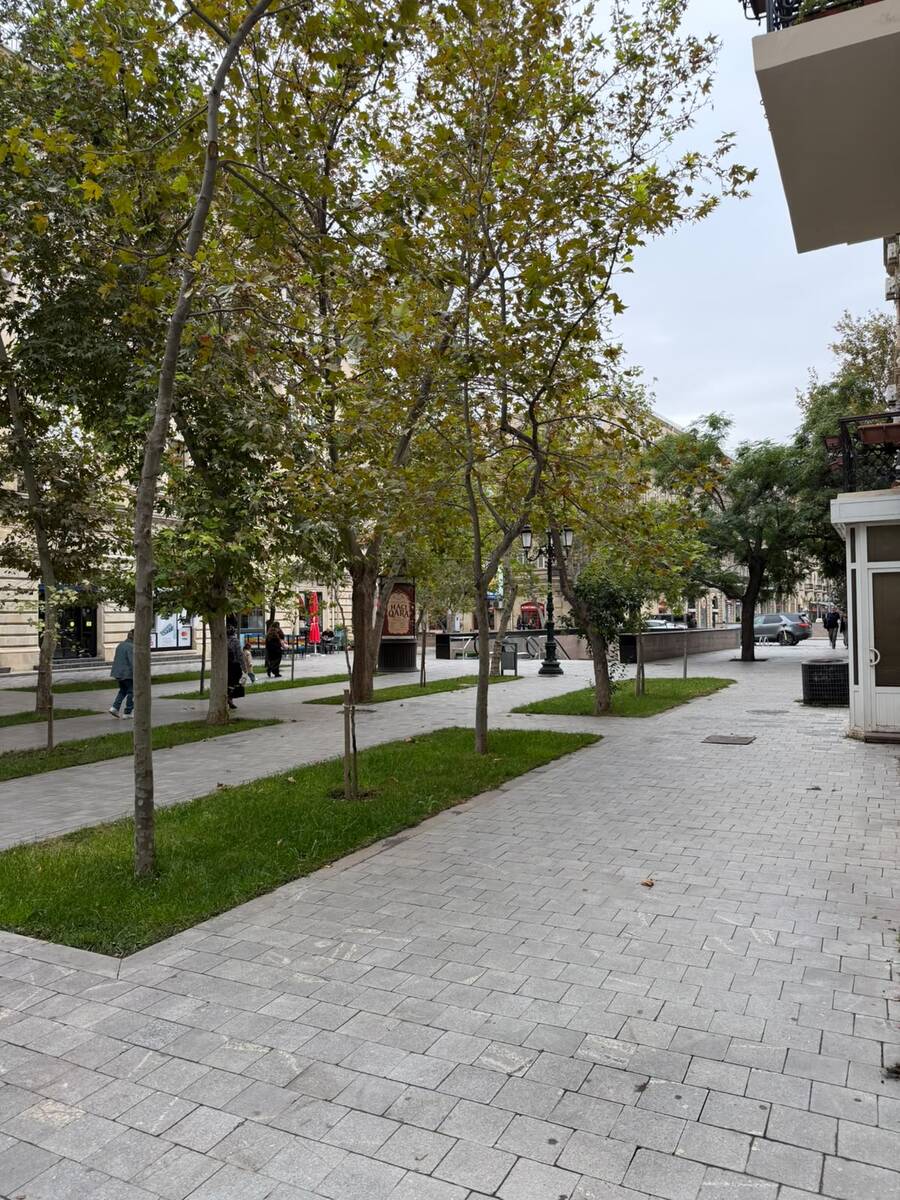 İcarəyə verilir 2 otaqlı köhnə tikili 70 m² — Mənzil, Bakı (10)