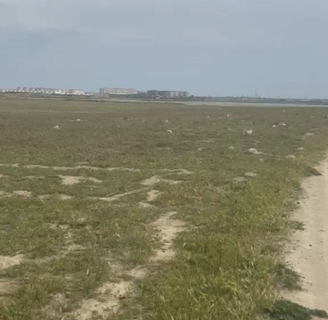 Satılır torpaq 50 sot — Torpaq, Bakı (3)