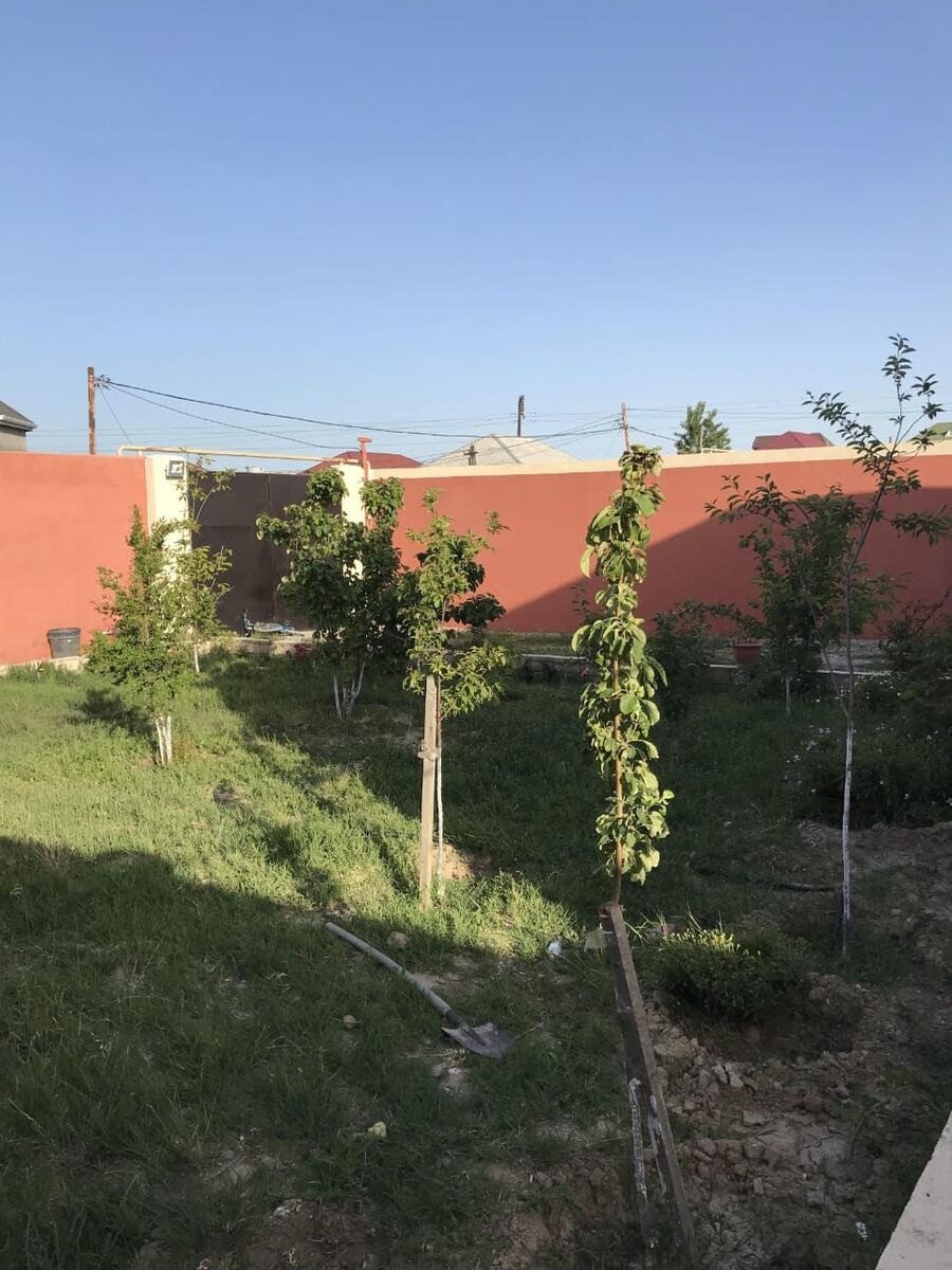Satılır 4 otaqlı həyət evi/bağ evi 225 m² — Ev, villa, Bakı (9)