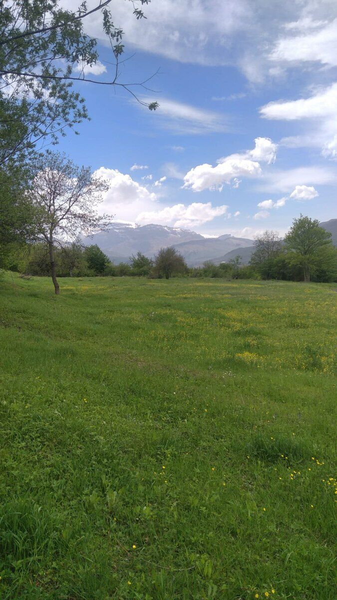 40 sot torpaq sahəsi, Qusar r — Torpaq, Qusar (2)