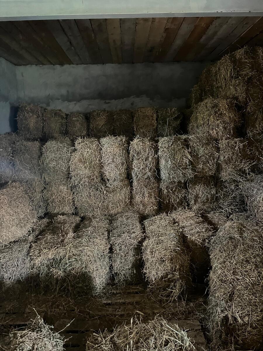 Satılır 10 otaqlı həyət evi/bağ evi 1500 m² — Ev, villa, Biləsuvar (10)