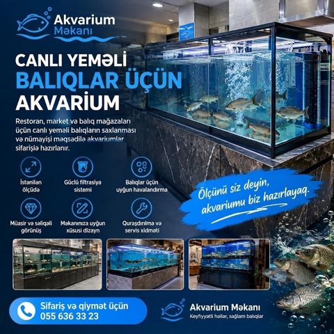 Canlı yeməli balıqlar üçün peşəkar akvarium sistemləri Restoran — 100 ₼ · Bakı · Akvariumlar və balıqlar Canlı yeməli balıqlar üçün peşəkar akvarium sistemləri Restoran — Bakı