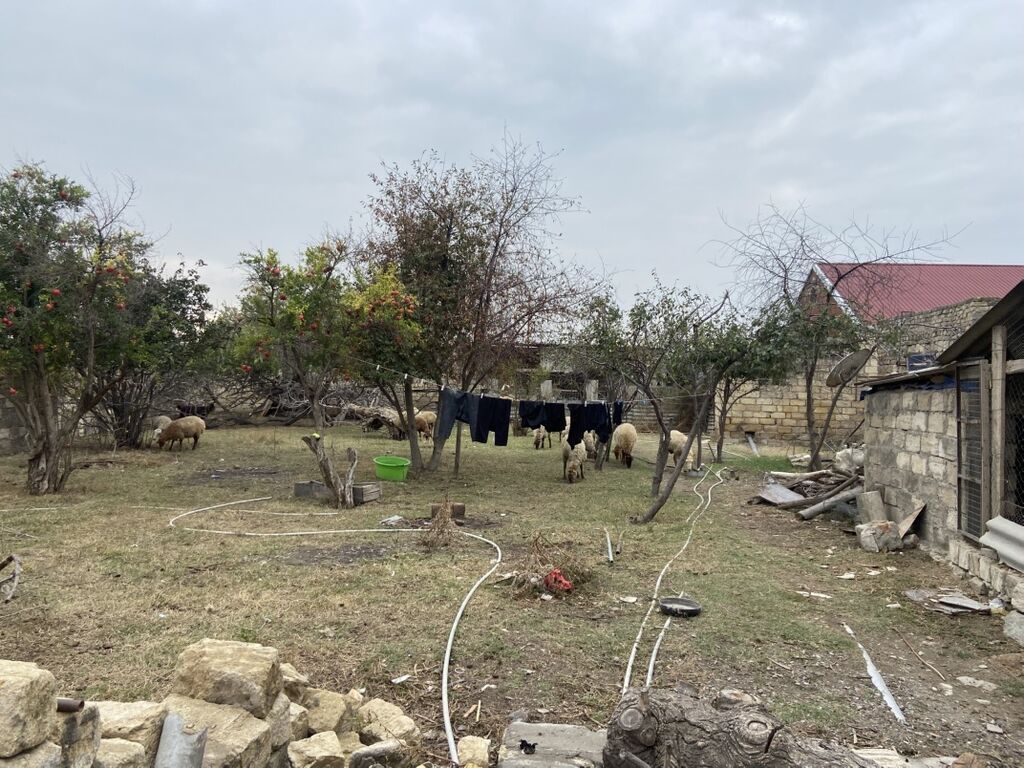 5 otaqlı, 300 kv. m, Kredit yoxdur, Təmirsiz — Ev, villa, Sumqayıt (8)