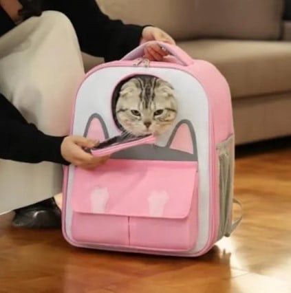 Daşıyıcı çanta Kitty, pişiklər üçün, çəhrayı prl_0077 — Mallar, Bakı (3)