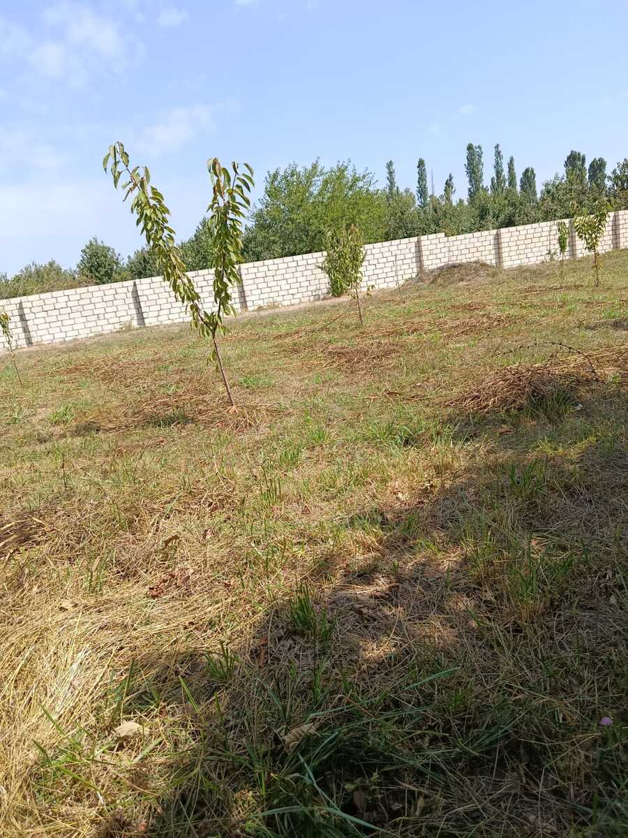Satılır torpaq 10 sot — Torpaq, Xaçmaz (5)
