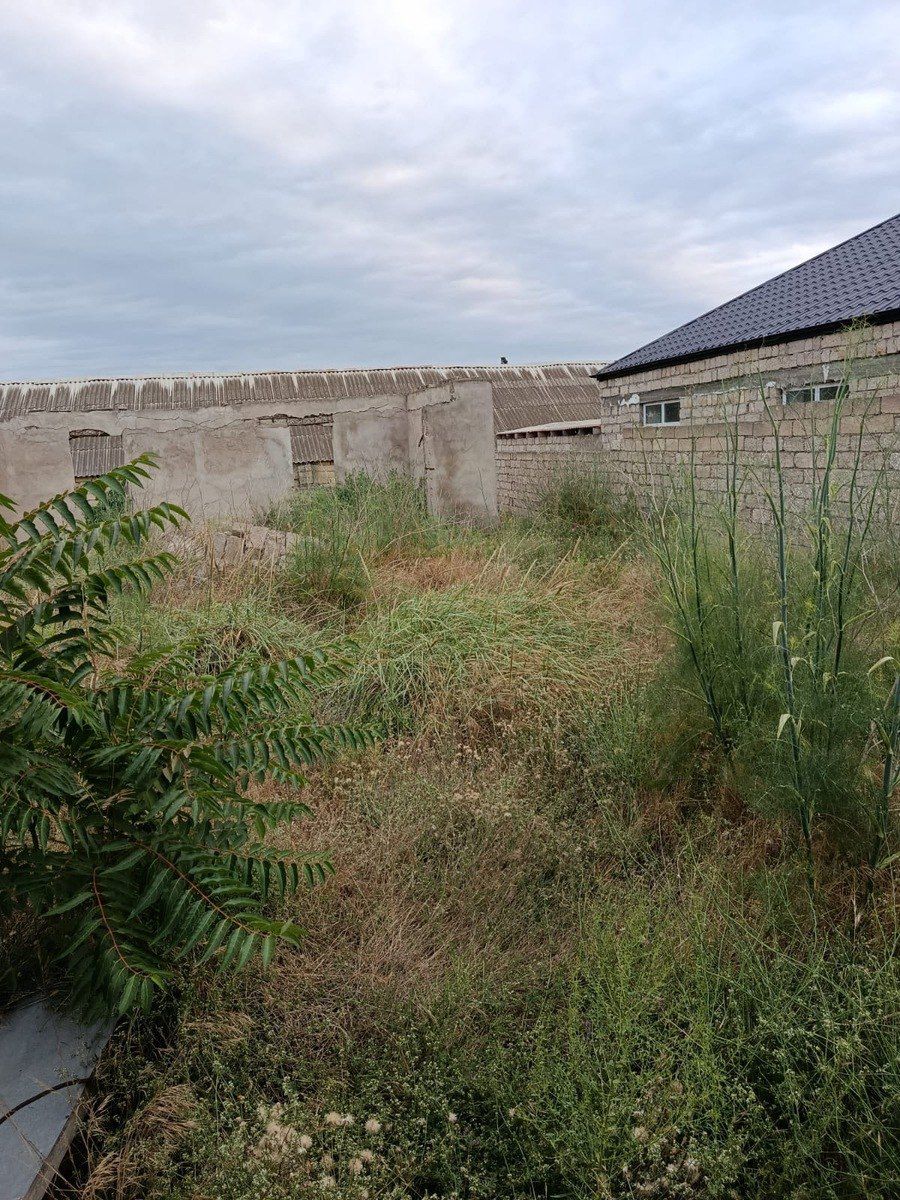 Satılır torpaq 9 sot — Torpaq, Bakı (5)