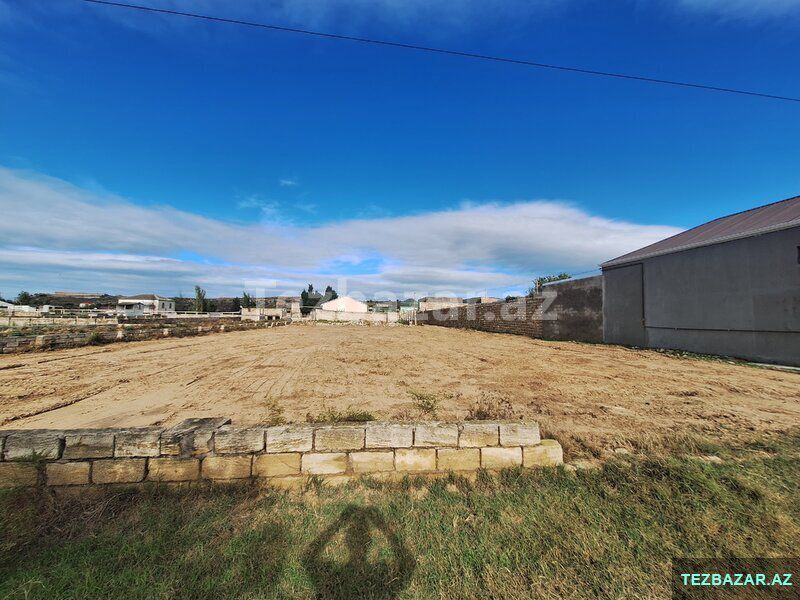 Nardaran Lehic bağları — Torpaq, Bakı (8)
