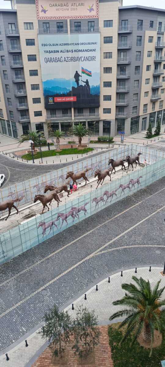 Satılır 5 otaqlı yeni tikili 252 m² — Mənzil, Bakı (11)