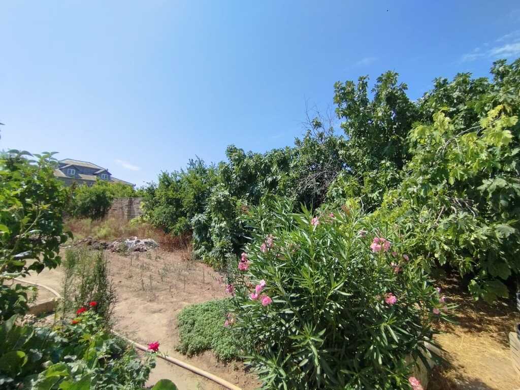Satılır torpaq 10 sot — Torpaq, Bakı (2)