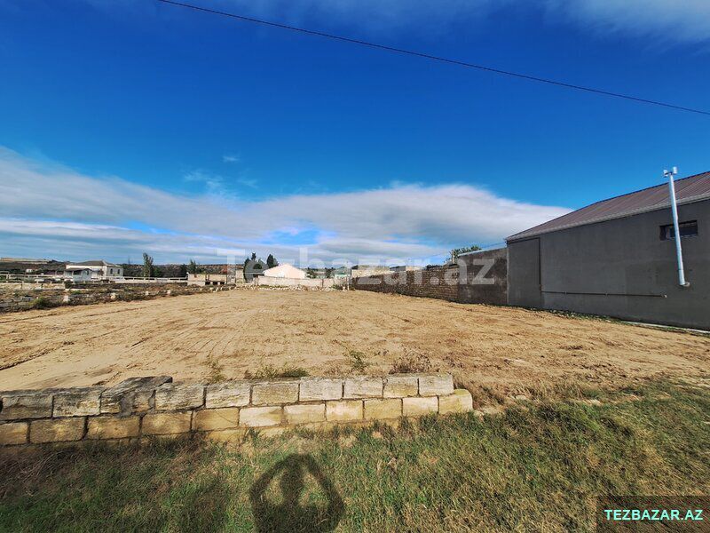 Nardaran Lehic bağları — Torpaq, Bakı (7)