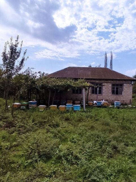 Həyət evi, İmişli r — İmişli