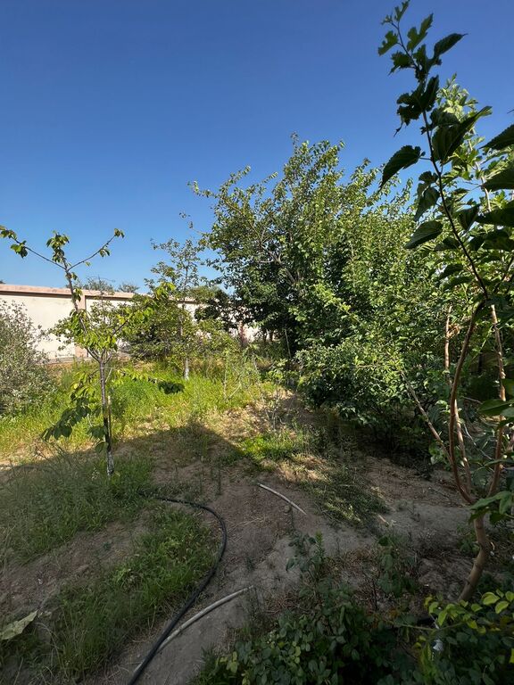 Satılır həyət evi/bağ evi 300 m² — Ev, villa, Bakı (6)