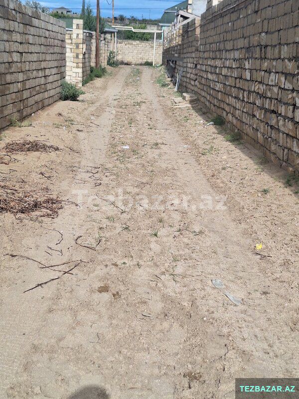Nardaran Lehic bağları — Torpaq, Bakı (4)