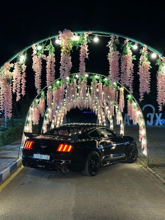 Ford Mustang, 2.3 L, 2016 il, 118 500 km 75-BO-746 — Avtomobillər, Naxçıvan (10)