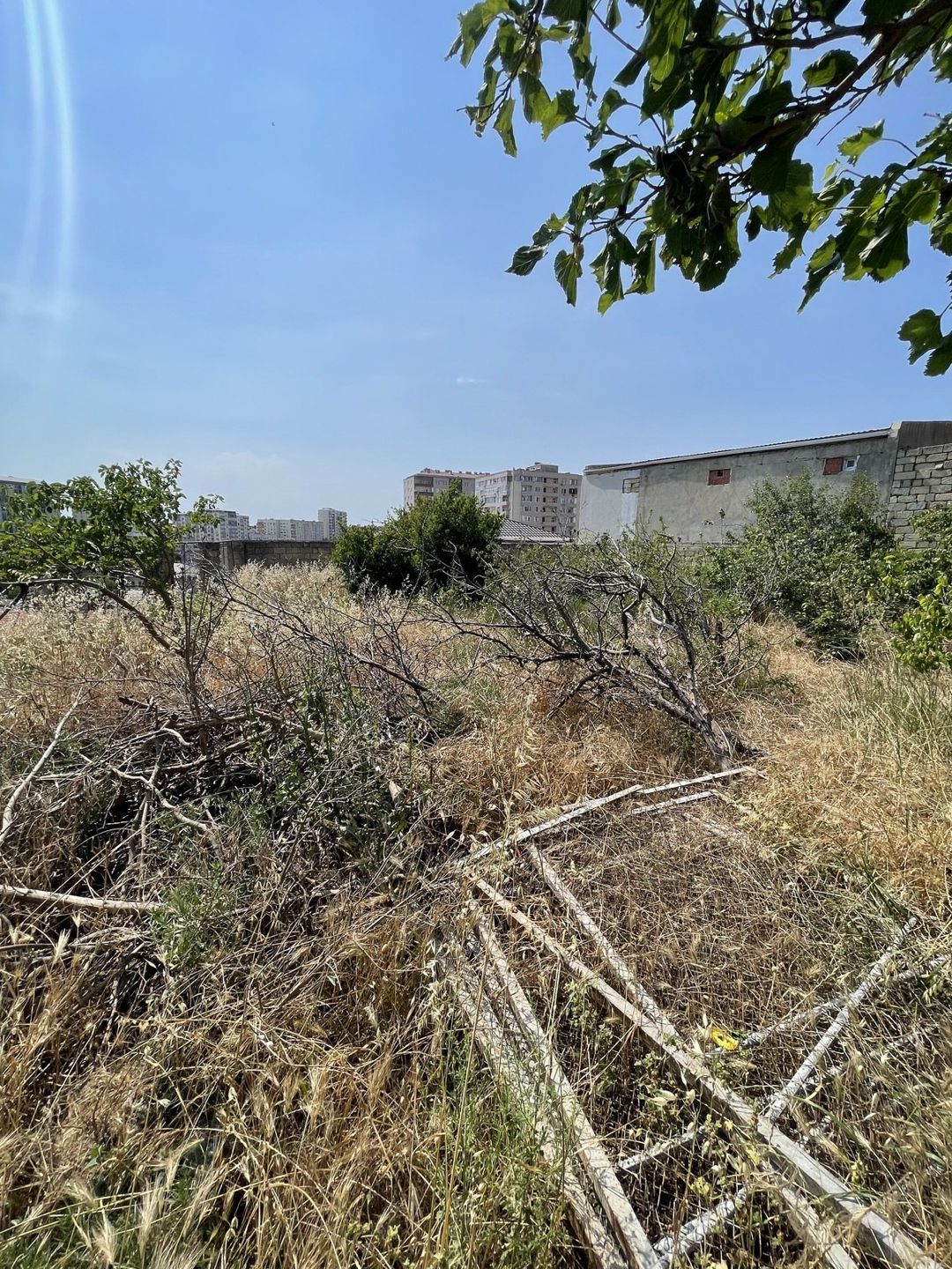 Satılır torpaq 16 sot — Torpaq, Bakı (5)