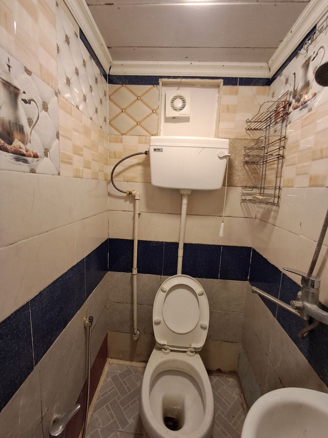 İcarəyə verilir 1 otaqlı həyət evi/bağ evi 25 m² — Ev, villa, Bakı (6)