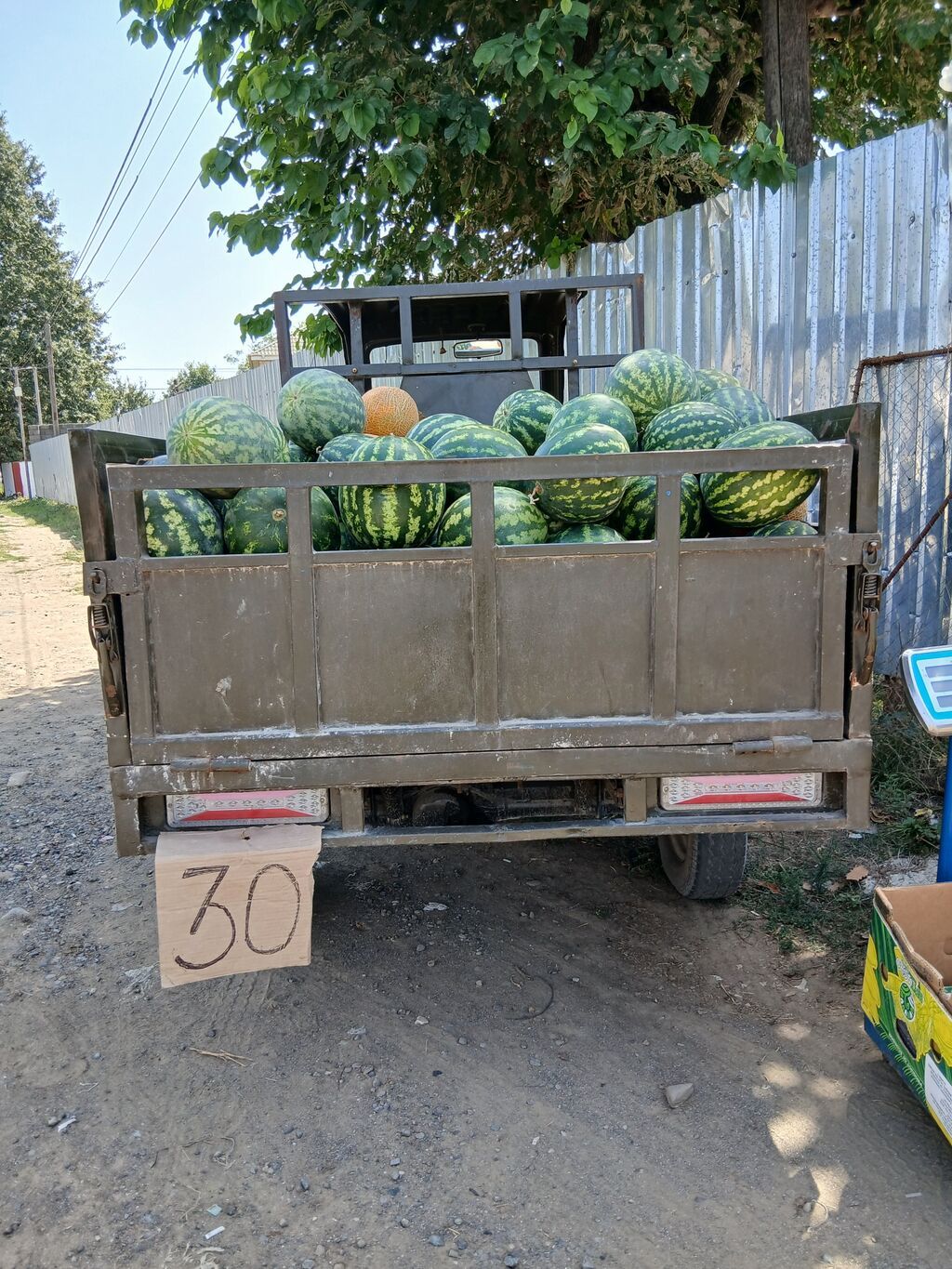 Yükdaşıma üçtəkərli motorlu nəqliyyat vasitəsi (karqo — Yük maşınları, Liman (2)