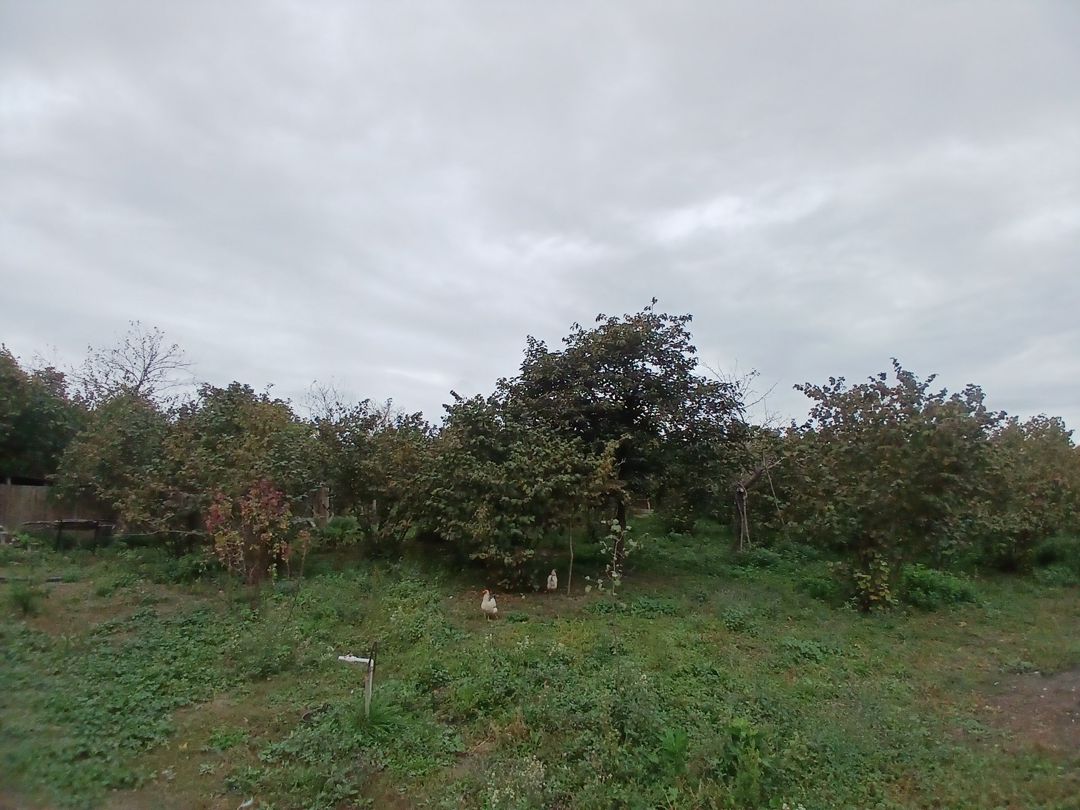 Satılır 4 otaqlı həyət evi/bağ evi 122 m² — Ev, villa, Xudat (3)