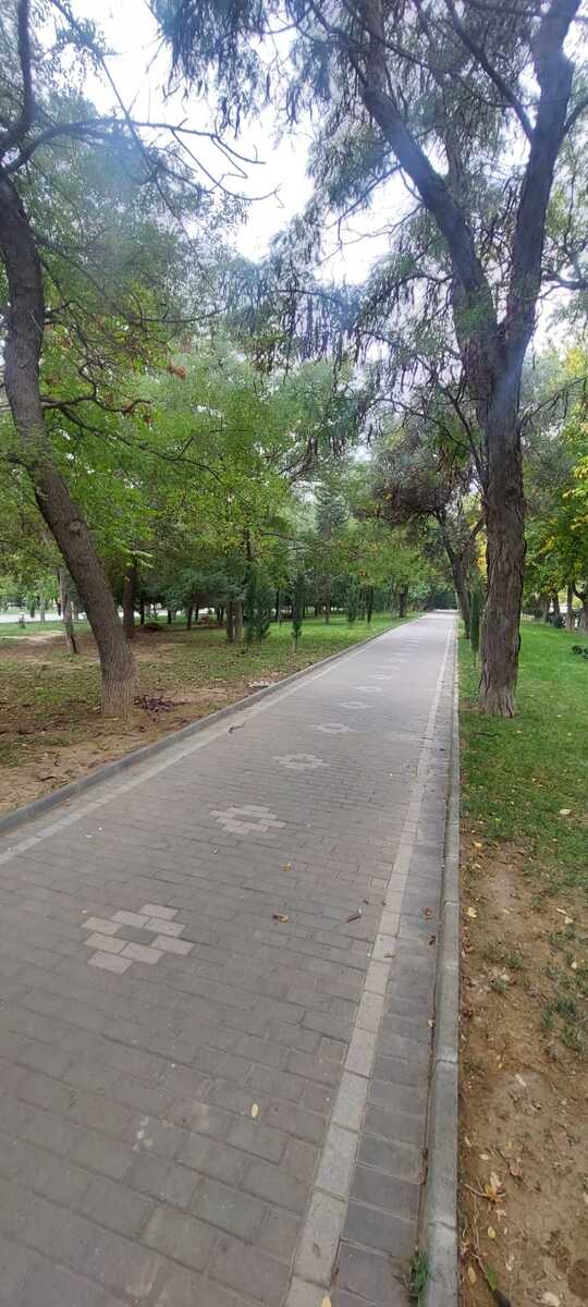 İcarəyə verilir 4 otaqlı ofis 140 m² — Ofis, Bakı (2)