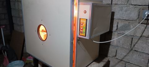 İnkubator — 350 ₼ · Bakı · Biznes və avadanlıq İnkubator — Bakı