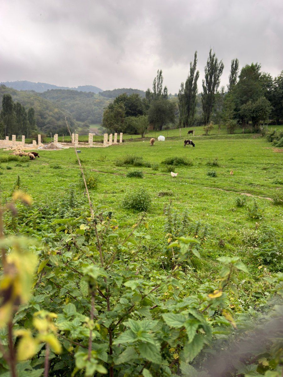 7 sot torpaq sahəsi, Qusar r — Torpaq, Qusar (5)