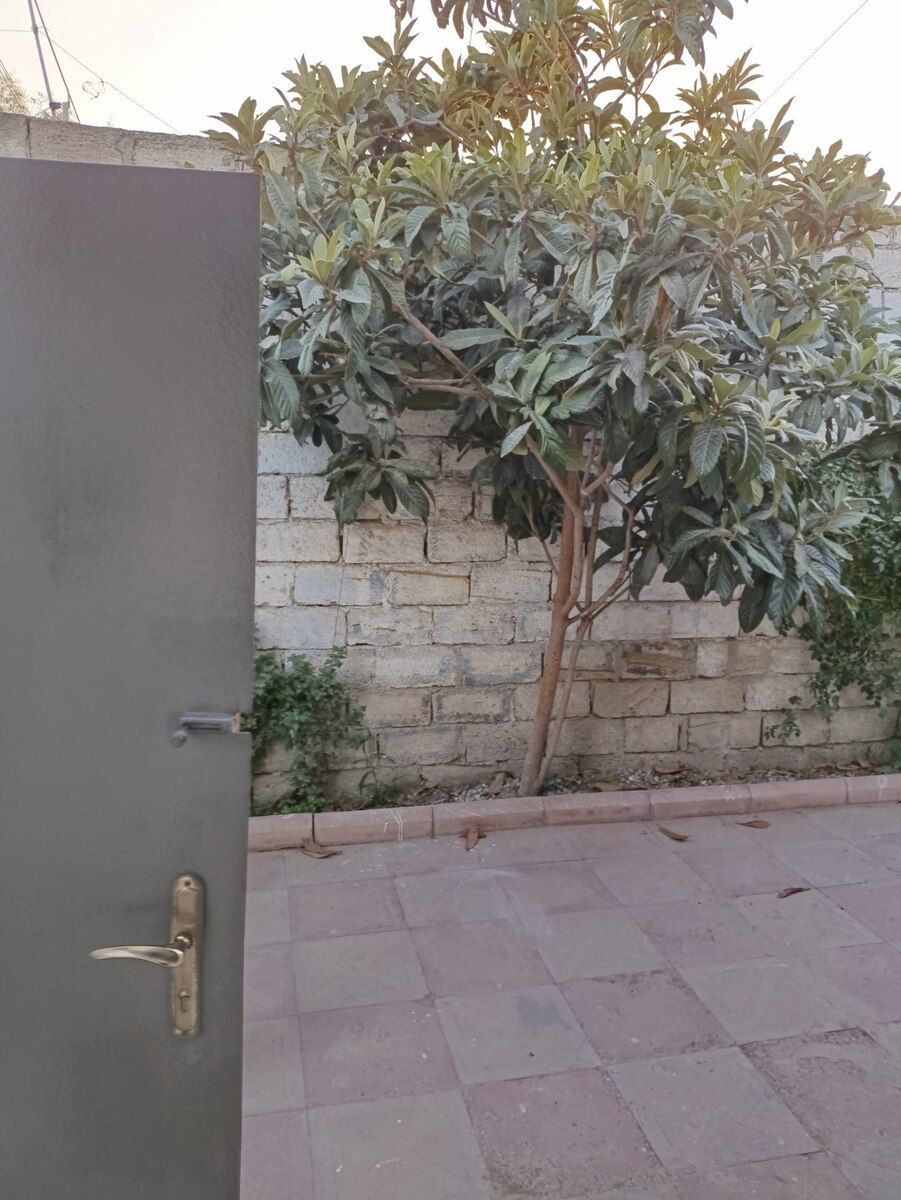 Həyət evi, Maştağa qəs — Ev, villa, Bakı (2)